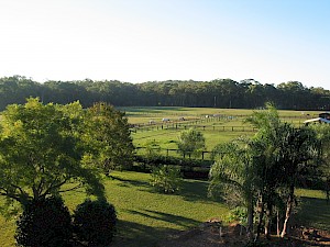 Across the fields