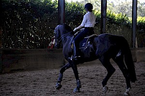 Clinics